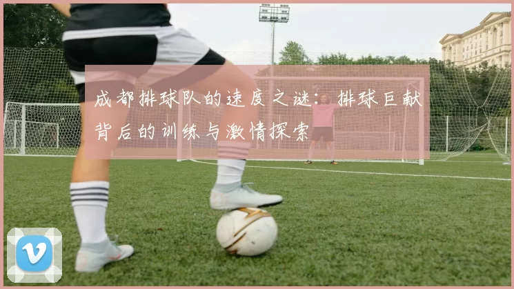 成都排球队的速度之谜：排球巨献背后的训练与激情探索