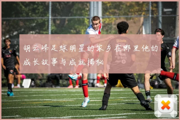 胡云峰足球明星的家乡在哪里他的成长故事与成就揭秘