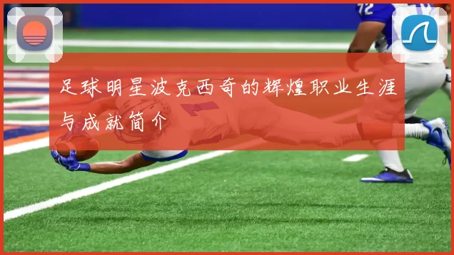 足球明星波克西奇的辉煌职业生涯与成就简介