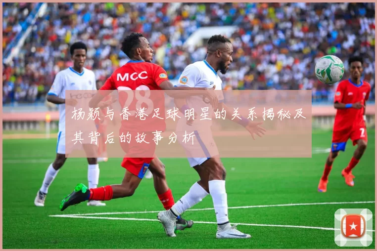 杨颖与香港足球明星的关系揭秘及其背后的故事分析