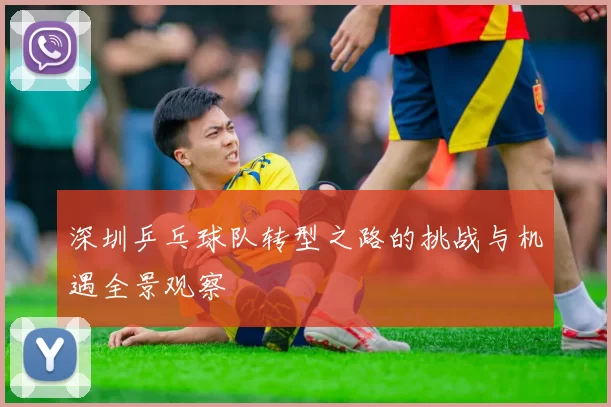 深圳乒乓球队转型之路的挑战与机遇全景观察
