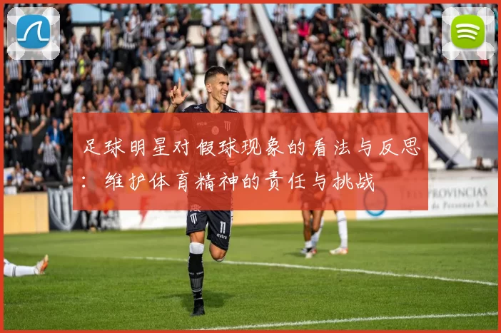 足球明星对假球现象的看法与反思：维护体育精神的责任与挑战
