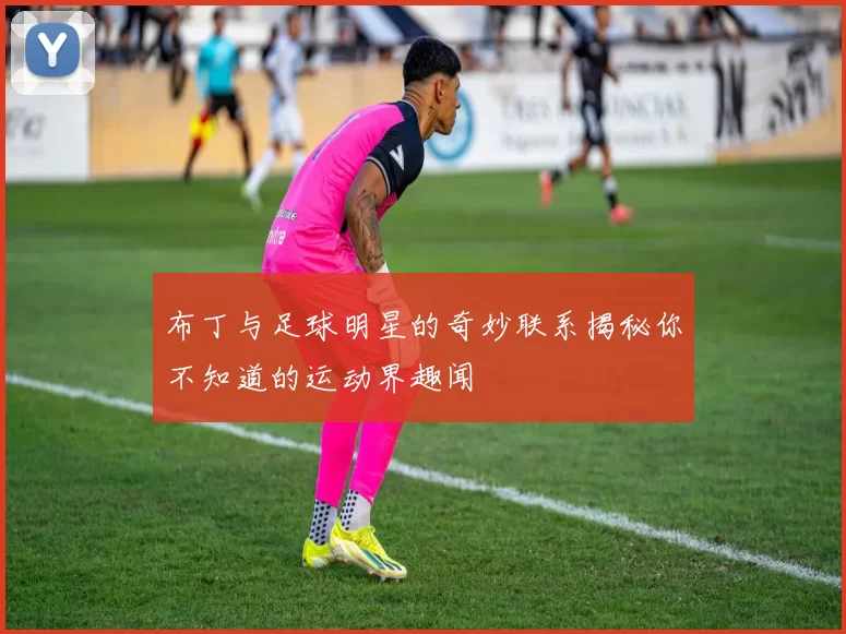 布丁与足球明星的奇妙联系揭秘你不知道的运动界趣闻