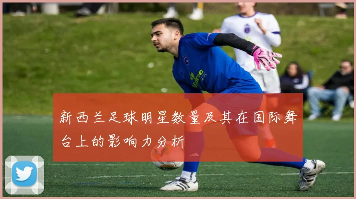 新西兰足球明星数量及其在国际舞台上的影响力分析
