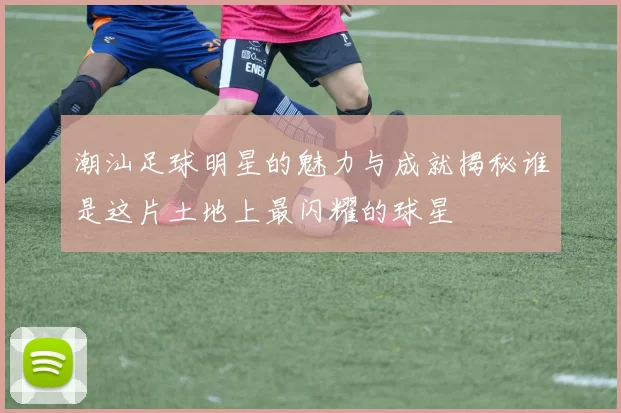 潮汕足球明星的魅力与成就揭秘谁是这片土地上最闪耀的球星