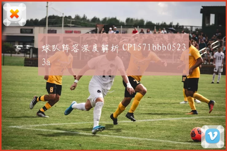球队阵容深度解析 CP1571bbb05233a