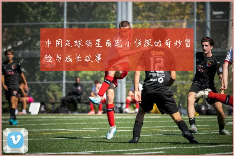 中国足球明星萌宠小侦探的奇妙冒险与成长故事