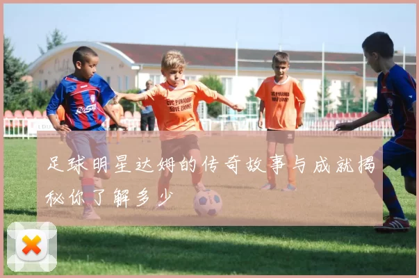 足球明星达姆的传奇故事与成就揭秘你了解多少