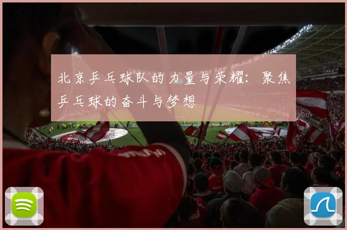 北京乒乓球队的力量与荣耀：聚焦乒乓球的奋斗与梦想